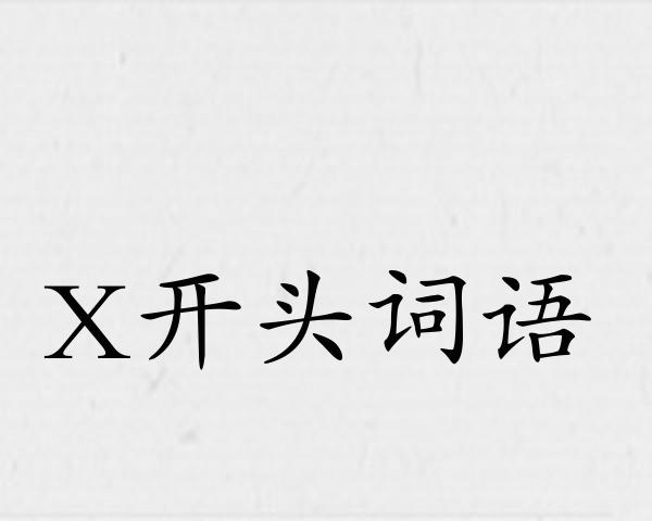 X开头词语