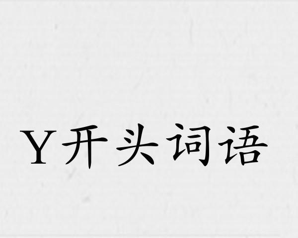 Y开头词语